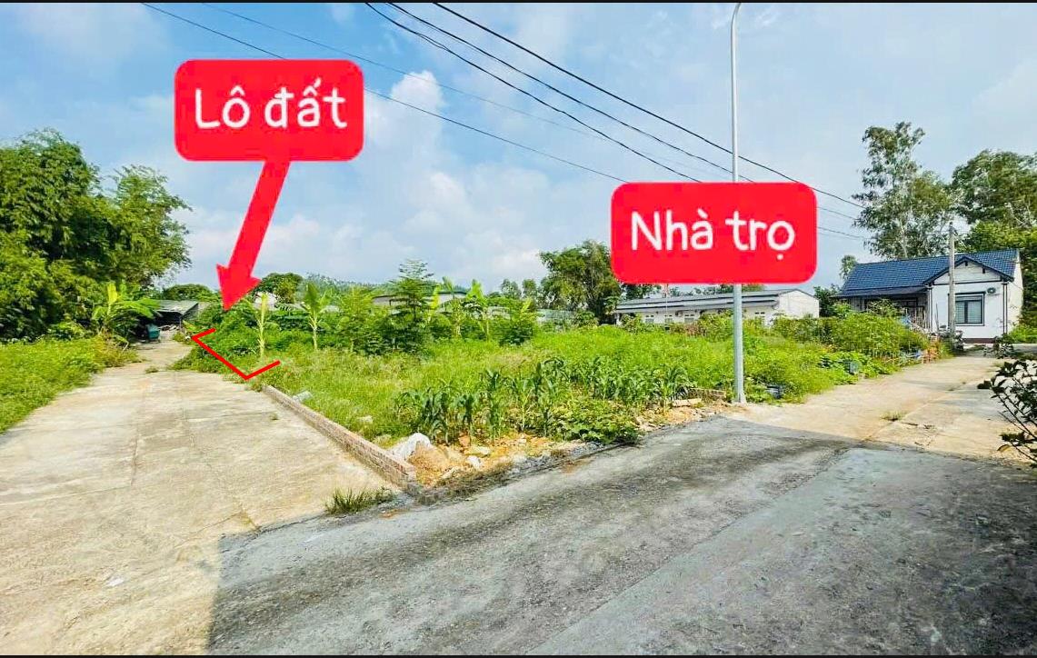 Hình ảnh Bán Lô Đất 94.1m Tại Hương Sơn Bình Xuyên Bám Đường Bê Tông Ô Tô Vào Tận Đất Dân Cư Đông Đúc Thân Thiện Giá Đầu Tư