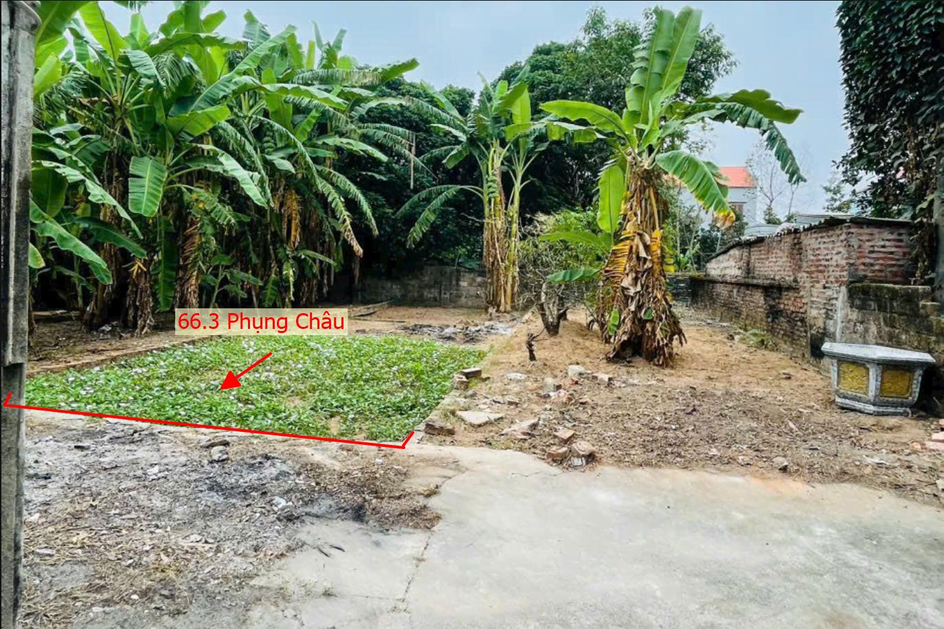 Hình ảnh Bán Đất Phân Lô Xã Phụng Châu 66.3m Sát Trục Kinh Doanh Liên Huyện Giá Chỉ Vài Tỷ 