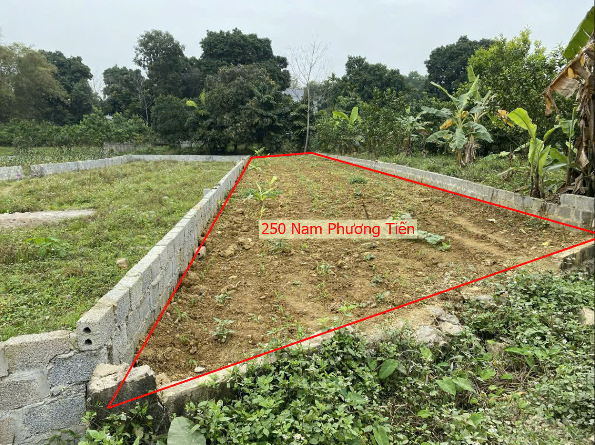 Hình ảnh Bán Đất Nam Phương Tiến Ô Tô Đỗ Tận Đất Gần Trục Kinh Doanh Sát Khu Nghỉ Dưỡng Sân Golf Skylake