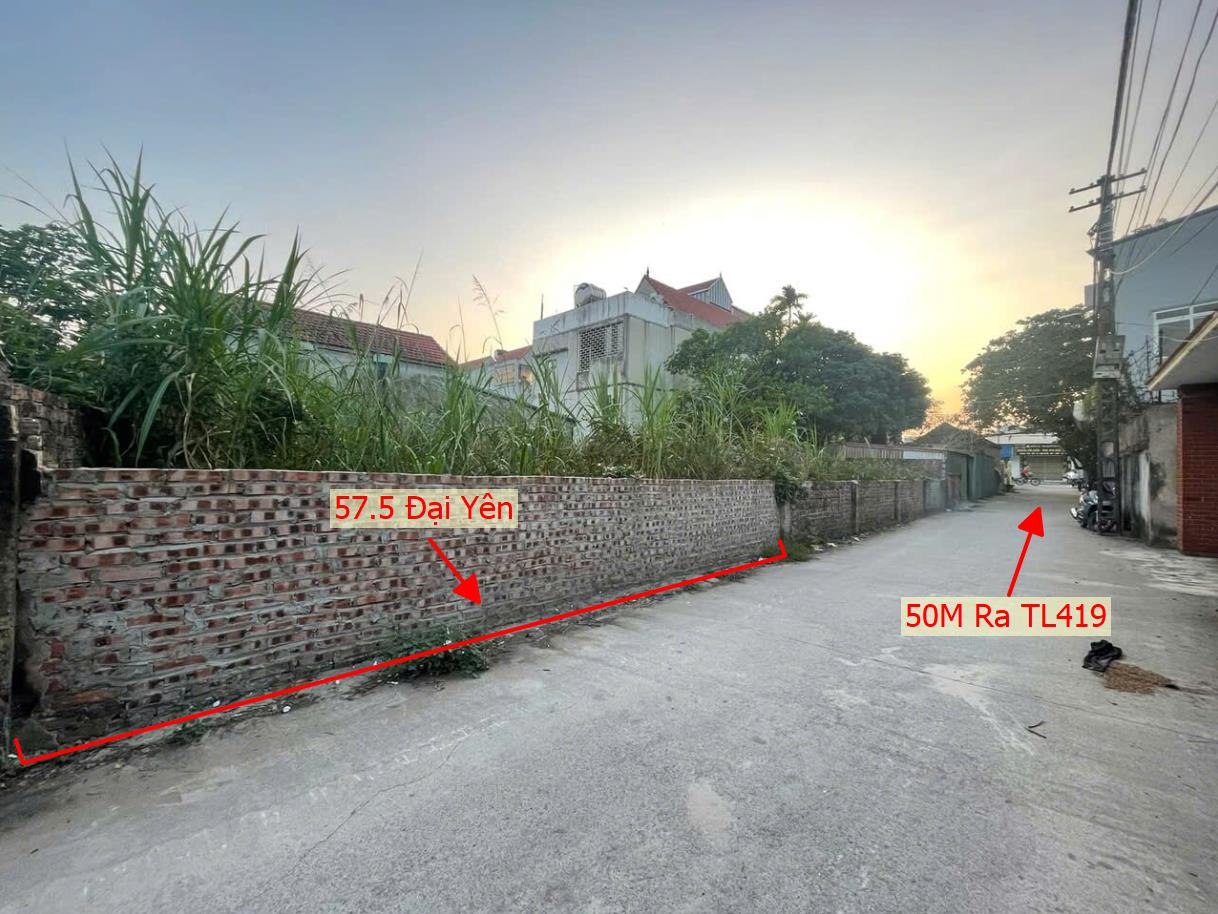 Hình ảnh Bán Đất Đại Yên Ô Tô Vào Tận Đất Ngay Sát Mặt Đường Kinh Doanh TL419 