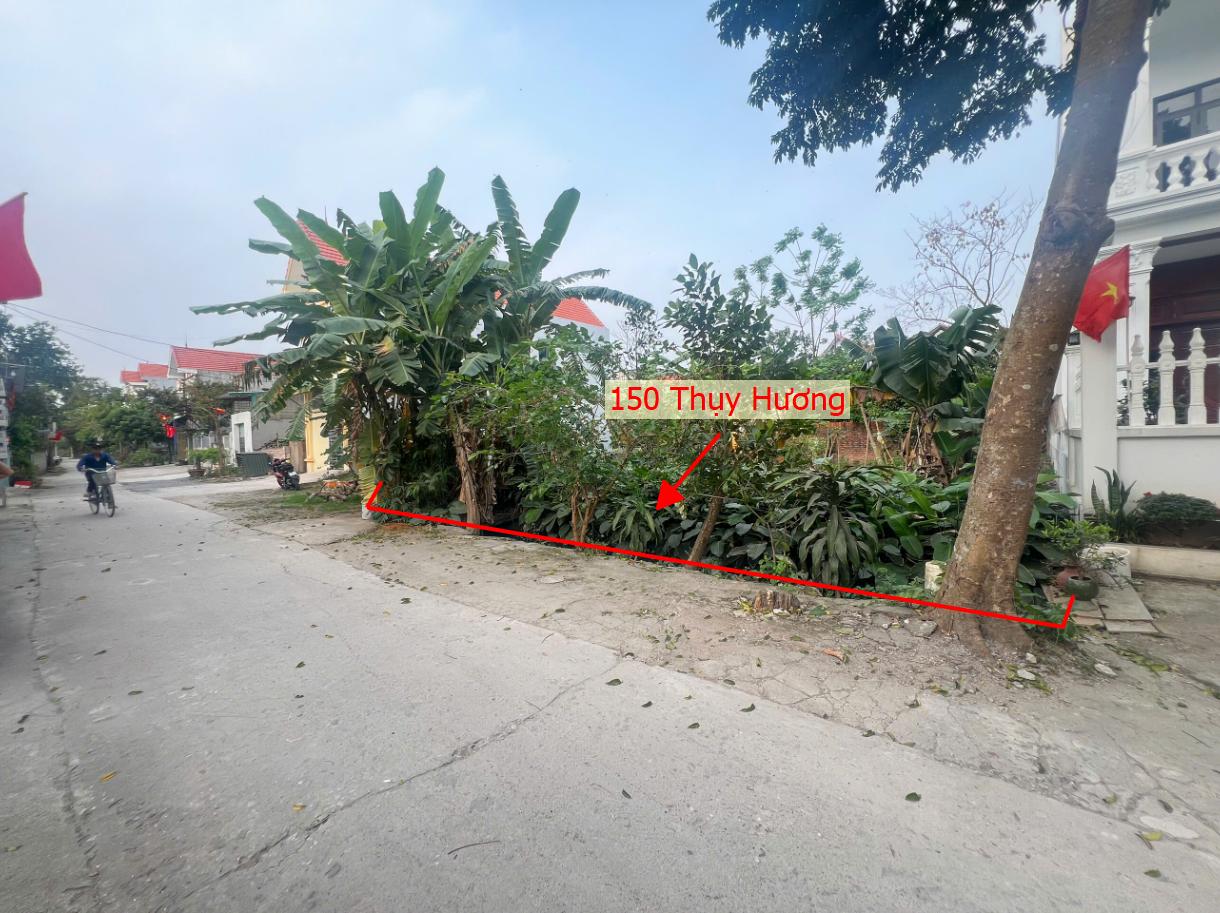 Hình ảnh Bán Thửa Đất Full Thổ Cư 150m Tại Thụy Hương Đường Ô Tô Tránh Nhau Gần Trục Kinh Doanh Liên Xã