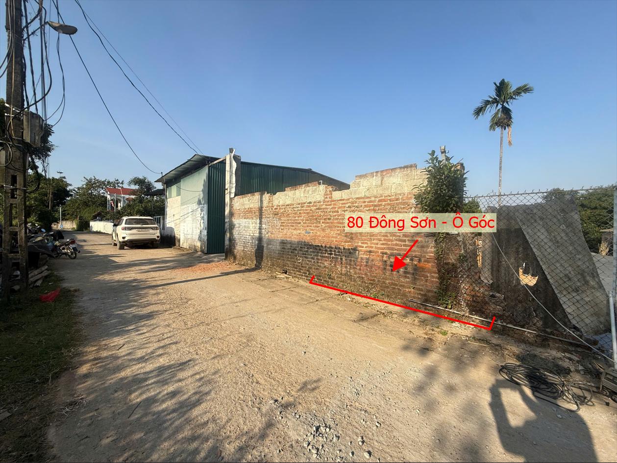 Hình ảnh Đất Phân Lô Quyết Hạ Phú Nghĩa (Đông Sơn Cũ) Ô Tô Đỗ Tận Đất Gần Trục Kinh Doanh Giá Đầu Tư