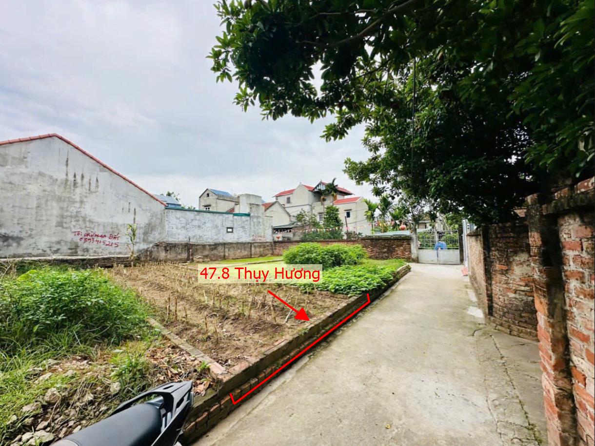 Hình ảnh Bán Đất Phân Lô Thụy Hương Ô Tô Vào Tận Đất Sát Trục Kinh Doanh Giá Nhỉnh Tỷ