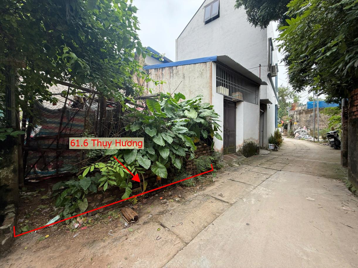 Hình ảnh Bán Đât Full Thổ Cư 61.6m Tại Thụy Hương Ô Tô Đỗ Tận Đất Sát Trục Kinh Doanh Giá Chỉ Hơn 2 Tỷ