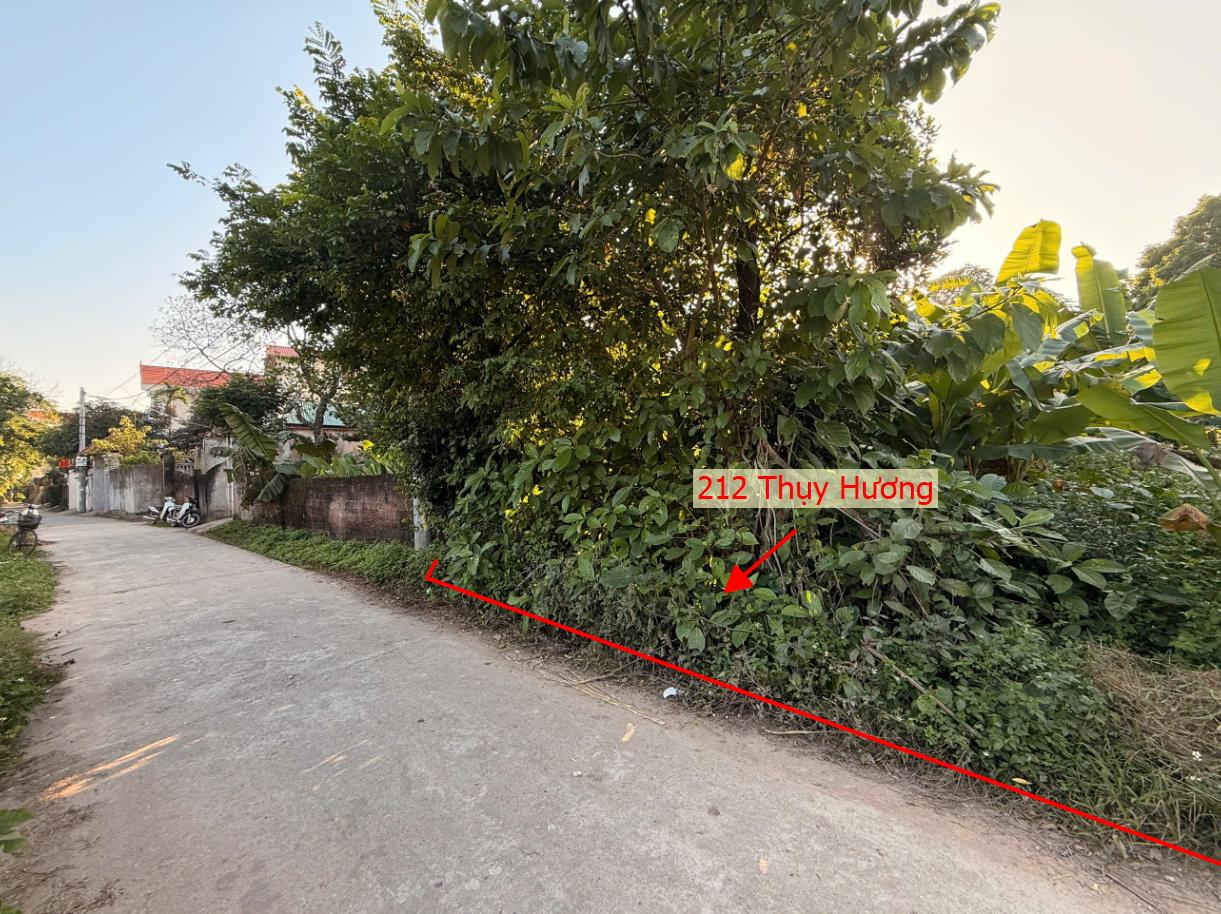 Hình ảnh Bán Đất Full Thổ Cư 212m Tại Thụy Hương Đường Thông Ô Tô Gần Trục Chính Kinh Doanh Liên Xã 