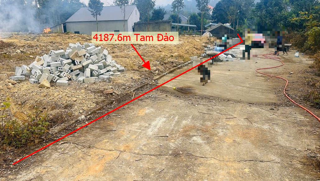 Hình ảnh Bán Lô Đất 4187.6m Tại Tam Đảo Bám Đường Bê Tông Ô Tô Vào Tận Đất Dân Cư Đông Đúc Thân Thiện  Phù Hợp Làm Nghỉ Dưỡng