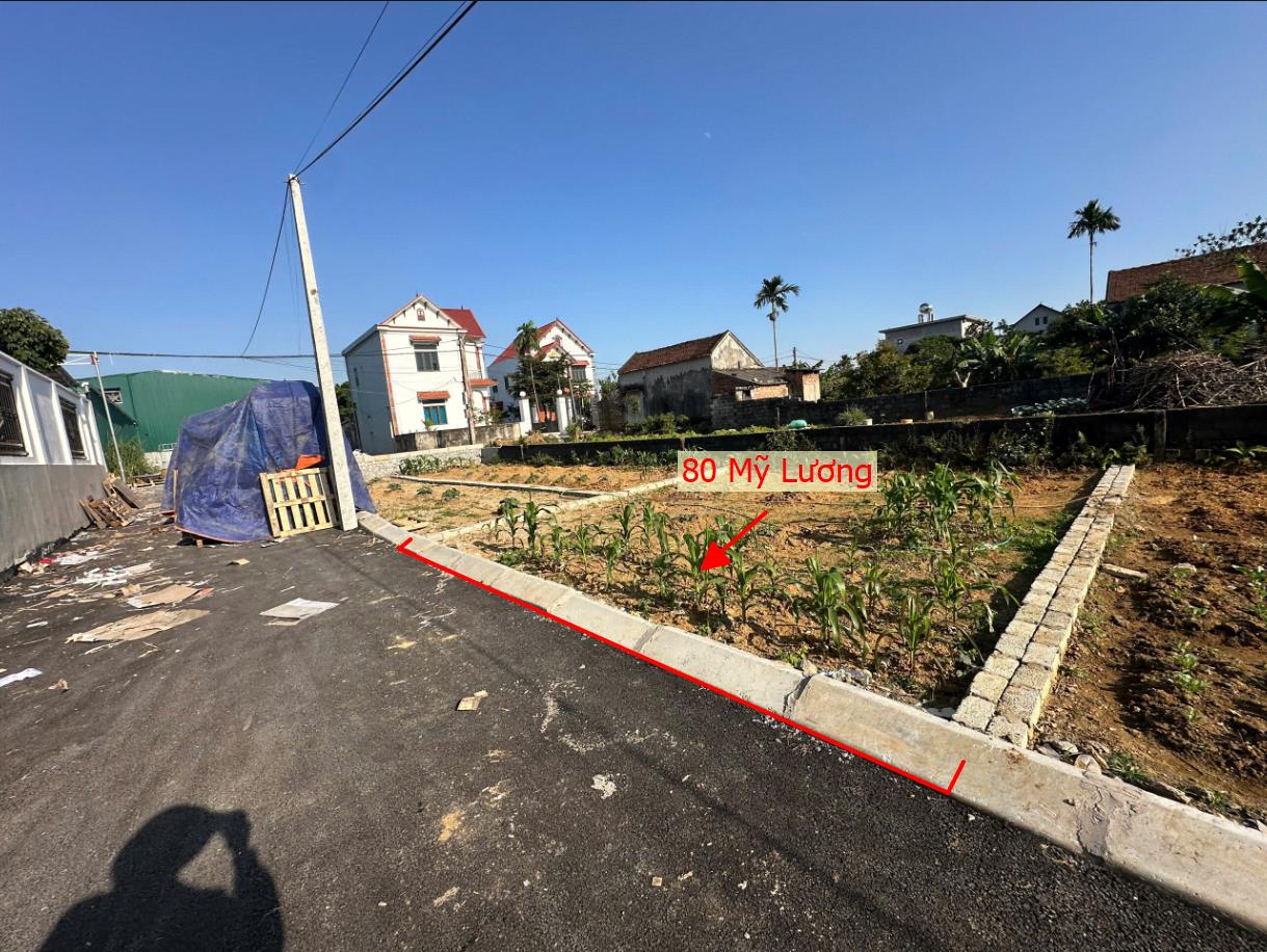 Hình ảnh Bán Đất Phân Lô Mỹ Lương Ô Tô Đỗ Tận Đất Sát Mặt Đường Kinh Doanh Liên Xã Ngay Gần QL21A