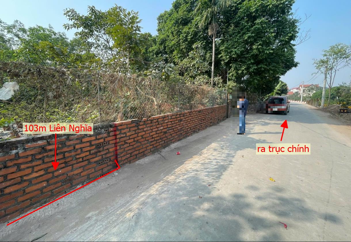 Hình ảnh Bán Lô Đất 103m Tại Liên Nghĩa Văn Giang Bám Đường Bê Tông Ô Tô Vào Tận Đất Dân Cư Đông Đúc Thân Thiện Gần Chợ Trường Học Ủy Ban Giá Đầu Tư