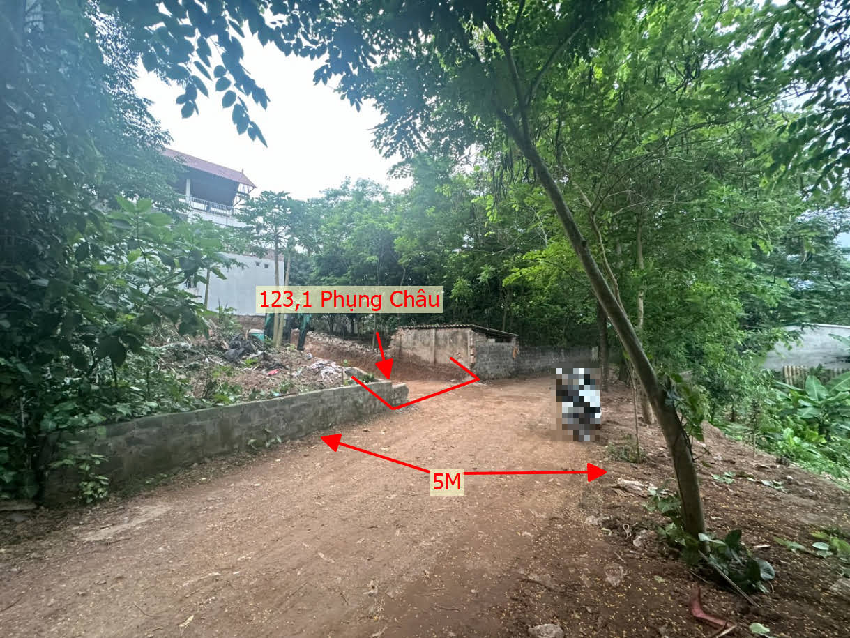 Hình ảnh Bán Đất Phụng Châu Ô Tô Vào Tận Đất Gần Trục Chính Liên Xã