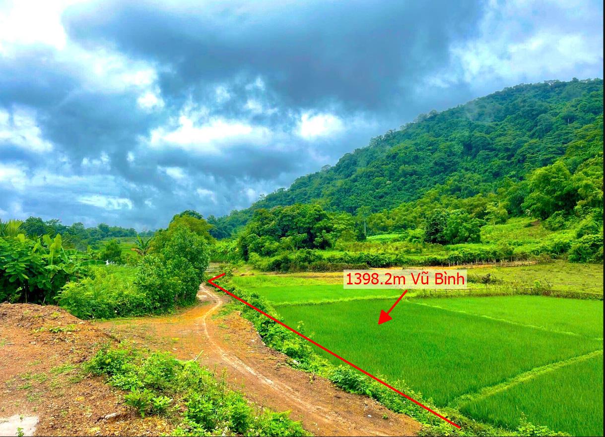Hình ảnh Bán Lô Đất 1398.2m Tại Vũ Bình Lạc Sơn Bám Đường Bê Tông Ô Tô Vào Tận Đất Dân Cư Đông  View Thoáng Mát Phù Hợp Làm Nghỉ Dưỡng Giá Đầu Tư