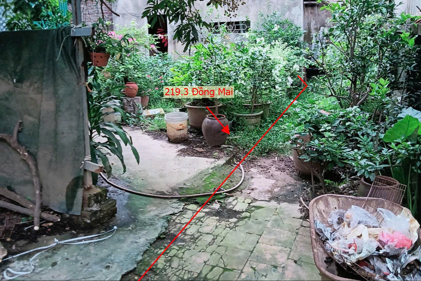 Hình ảnh Bán Thửa Đất 219.3m Tại Đồng Mại Ngay Sau Trường Cấp 2 Đồng Mai Sát Trục Liên Huyện 