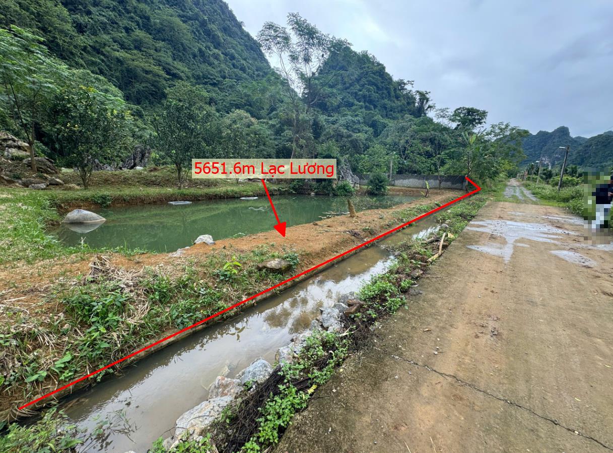 Hình ảnh Bán Lô Đất 5651.1m Tại Lạc Lương Yên Thủy Bám Đường Bê Tông Ô Tô Vào Tận Đất Dân Cư Đông Đúc Thân Thiện Lưng Tựa Núi Chân Đạp Thủy Đầu Tư Tiềm Năng Giá Đầu Tư