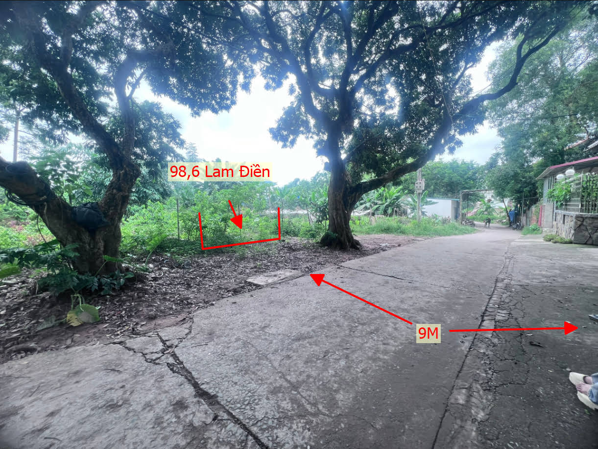 Hình ảnh Bán Đất Lam Điền Full Thổ Cư Ô Tô Vào Tận Đất | Đất Phân Lô Lam Điền Chương Mỹ