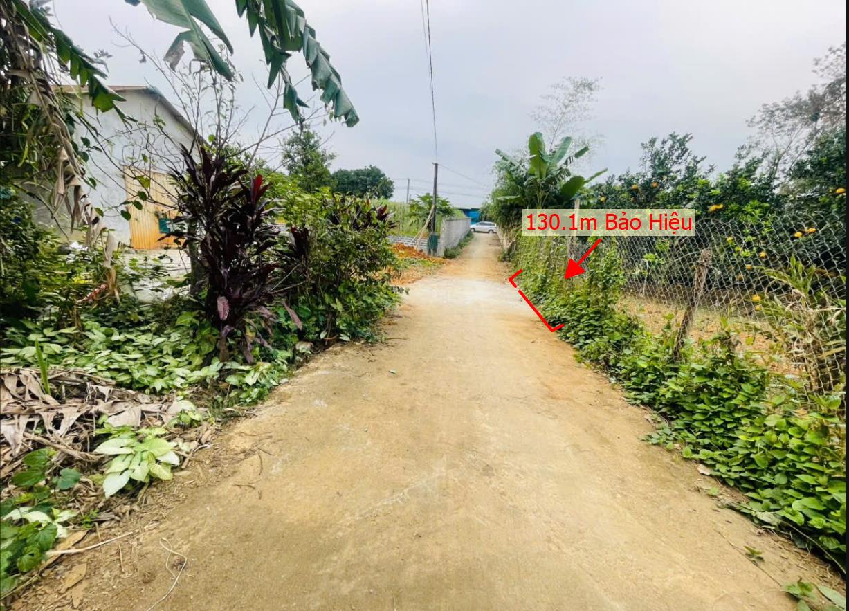 Hình ảnh Bán Đất Phân Lô Tại Bảo Hiệu Yên Thủy Bám ĐƯờng Bê Tông Ô Tô Vào Tận Đất Dân Cư Đông Đúc  Gần Chợ Trường Học ỦY Ban Giá Đầu Tư