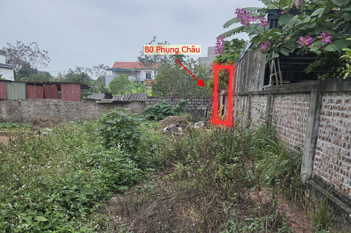 Hình ảnh Bán Đất Full Thổ Cư 80m Tại Phụng Châu Ô Tô Vào Tận Đất Gần Trục Chính Kinh Doanh Liên Xã