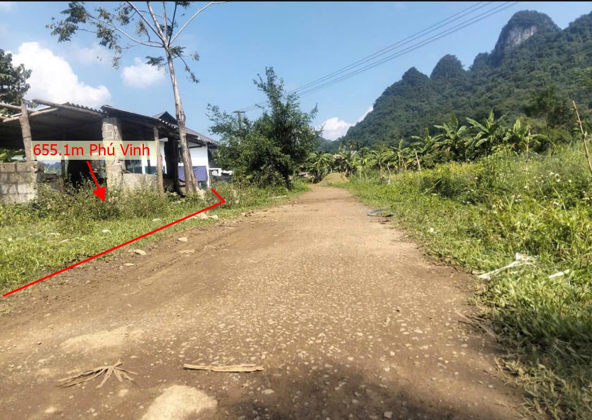 Hình ảnh Bán Lô Đất 655.1m Tại Tân Lạc Bám Đường Bê Tông Ô Tô Vào Tận Đất Dân Cư Đông Đúc Thân Thiện Phù Hợp Phân Lô Giá Đầu Tư