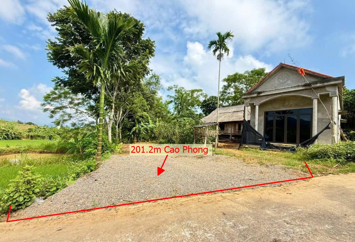 Hình ảnh Bán Lô Đất 201.2m Tại Cao Phong Bám Đường Bê Tông Ô Tô Vào Tận Đất Dân Cư Đông Đúc Thân Thiện Gần Chợ Trường Học Ủy Ban Giá Đầu Tư