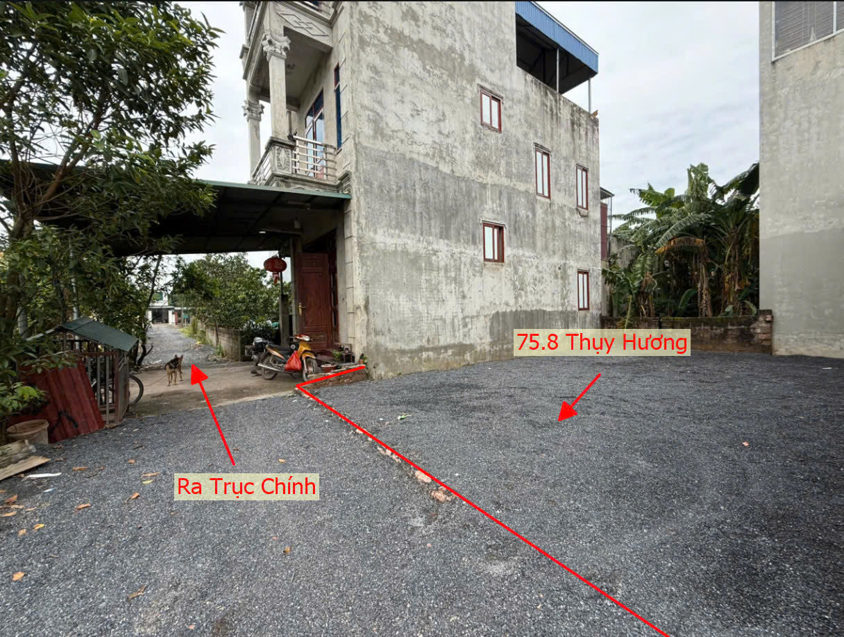 Hình ảnh Bán Đất Thụy Hương Ngay Trung Tâm Xã Thụy Hương Gần Trục Kinh Doanh Giá Chỉ Vài Tỷ 