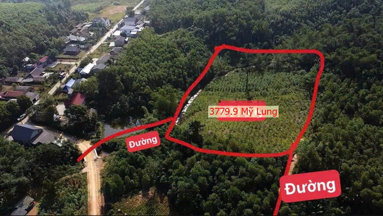 Hình ảnh Bán Đất Nghỉ Dưỡng Cực Đẹp Tại Mỹ Lung Ngay Gần Trung Tâm Xã Mỹ Lung Giá Chỉ Vài Trăm Triệu