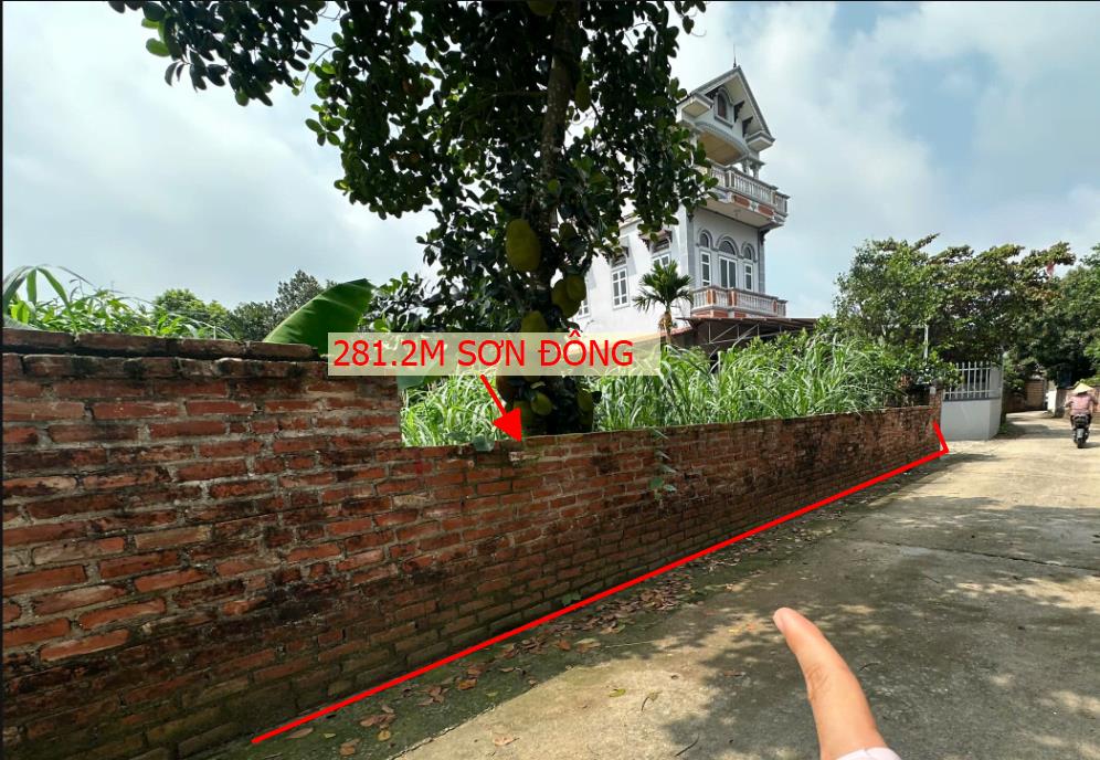 Hình ảnh Bán Lô Đất 281.2m Tại Sơn Đông Sơn Tây Bám Đường Bê Tông Ô Tô vào Tận Đất Dân Cư Đông Đúc Giá Đầu 