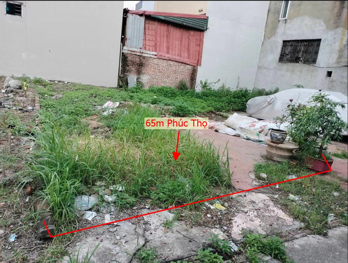 Hình ảnh Bán Lô Đất 65m Tại Phúc Thọ Bám Đường Bê Tông Ô Tô Vào Tận Đất Dân Cư Đông Đúc Thân Thiện Giá Đầu Tư