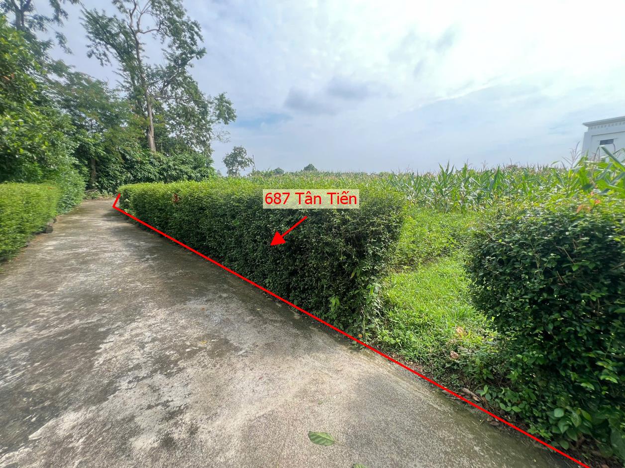Hình ảnh Bất Động Sản Xuân Mai Bán Đất Khu Vực Tân Tiến Lô Góc 2 Mặt Thoáng Sát Trục Chính Kinh Doanh Liên Xã 