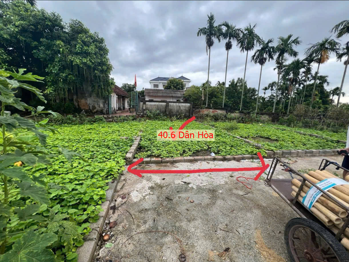 Hình ảnh Bán Đất Dân Hòa Ô Tô vào Tận Đất Sát Trục Chính Liên Xã Giá Nhỉnh Tỷ 