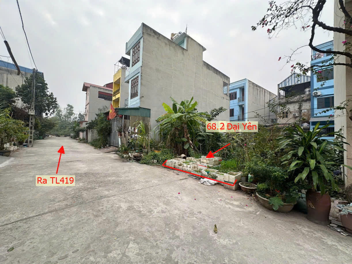 Hình ảnh Đất Đấu Giá Khu Ao Sen Xã Đại Yên Thuộc Làn 2 Đường TL419 Giáp Thị Trấn Chúc Sơn 