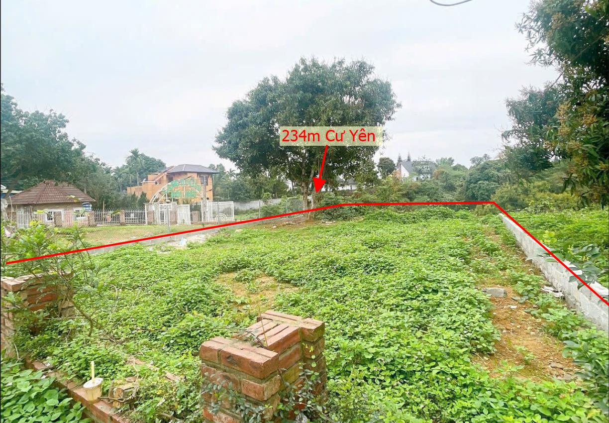 Hình ảnh Bán Lô Đất 234m Tại Cư Yên Lương Sơn Bám Đường Bê Tông Ô Tô Vào Tận Đất Dân Cư Đông Nằm Trong Khu Biệt Thự NGhỉ Dưỡng Giá Đầu Tư