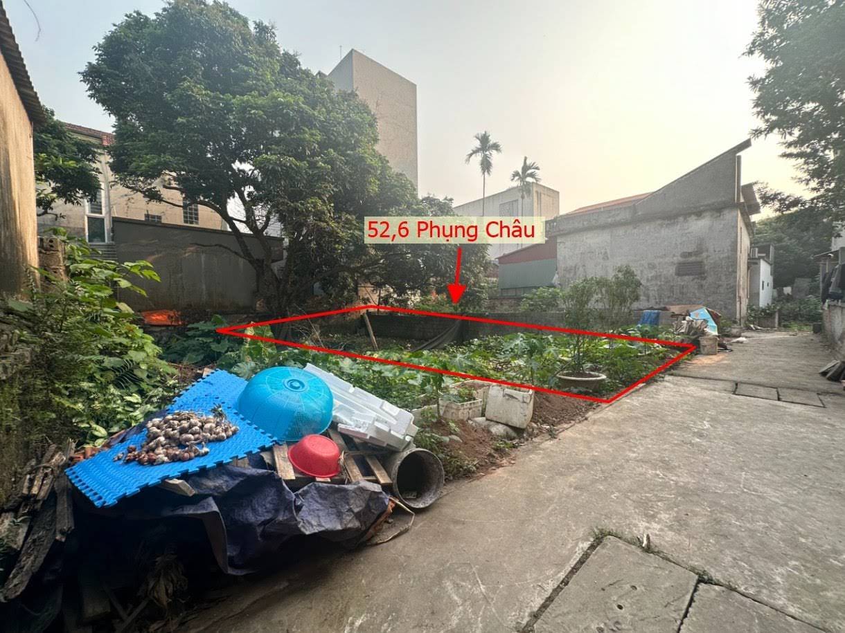 Hình ảnh Bất Động Sản Chương Mỹ Bán Đất Khu Vực Phụng Châu Sát Trục Chính Kinh Doanh Liên Xã Gần Trường Học Các Cấp 