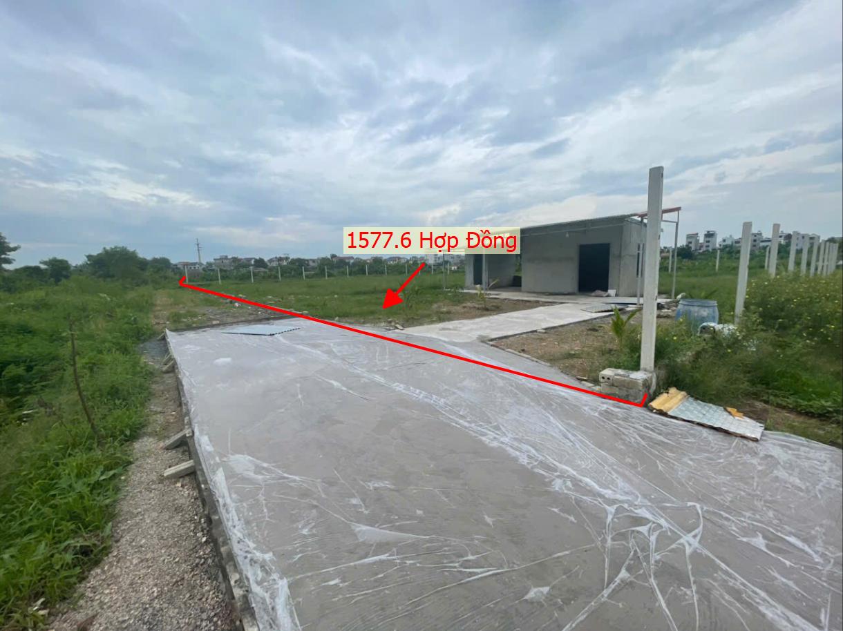 Hình ảnh Bán Thửa Đất 1577.6m Tại Hợp Đồng Ô Tô Đỗ Tận Đất Gần Mặt Đường Kinh Doanh TL419 