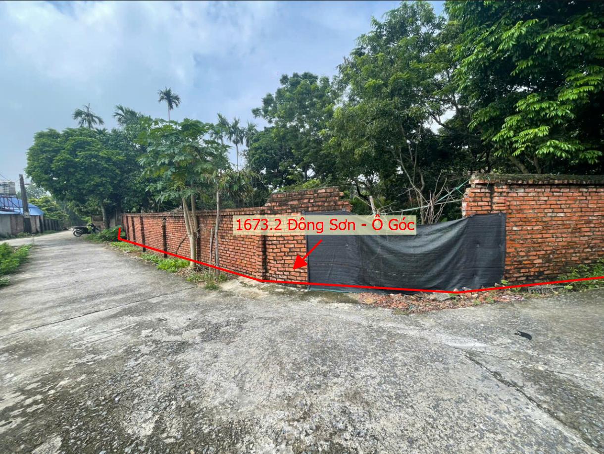 Hình ảnh Bán Lô Góc 2 Mặt Tiền Tiền 1673.2m Tại Đông Sơn Ô Tô Đỗ Tận Đất Sát Trục Chính Kinh Doanh Liên Xã