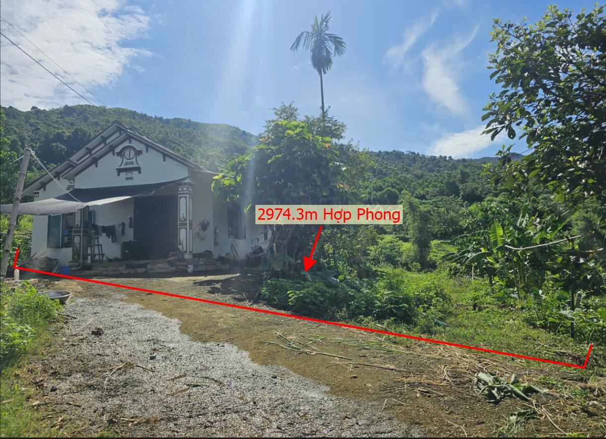 Hình ảnh Bán Lô Đất 2974.3m Tại Cao Phong Bám Đường Bê Tông Ô Tô Vào Tận Đất Dân Cư Đông Đúc Thân Thiện Bám Suối Thoáng Mát Giá Đầu Tư