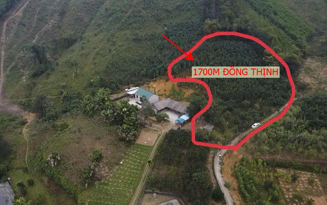 Hình ảnh Bán Lô Đất 1700m Tại Đồng Thịnh Yên Lập Đang Trồng Vườn Trồng Sẵn Thu Hoạch