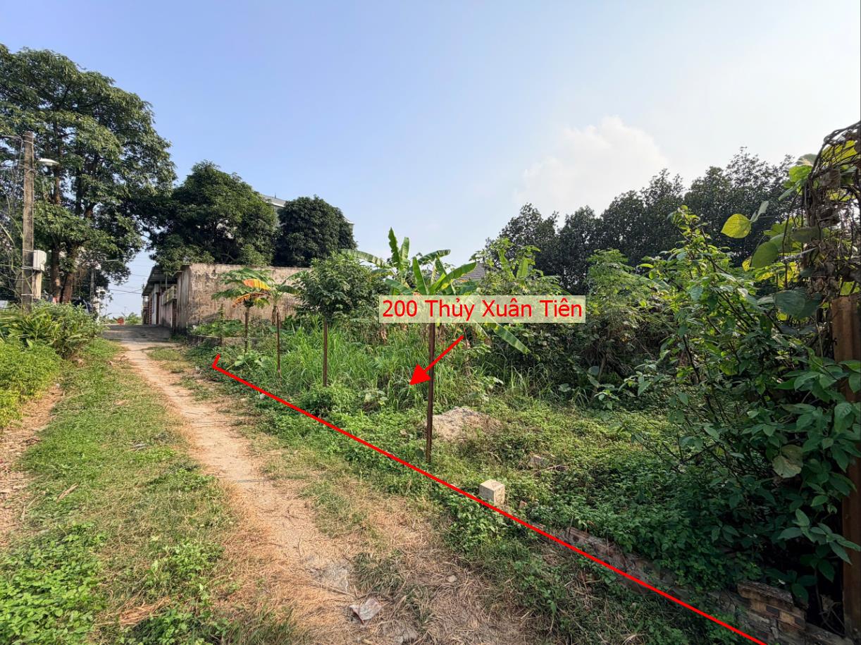 Hình ảnh Bán Đất Full Thổ Cư 200m Tại Thủy Xuân Tiên Ô Tô Đỗ Tận Đất Sát Trục Kinh Doanh Liên Xã 