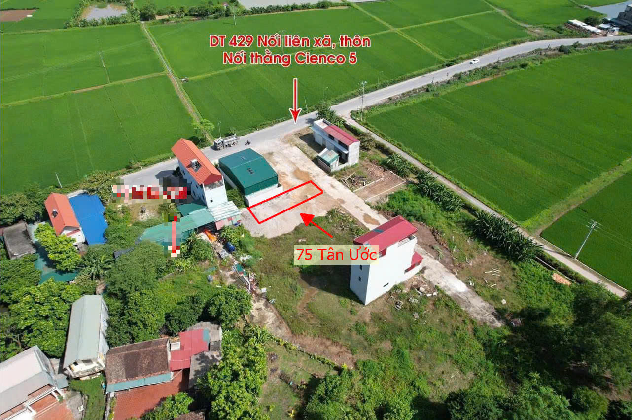 Hình ảnh Bán Đất Đấu Giá Khu Điểm Tổng Tân Ước Sát Mặt Đường Kinh Doanh Liên Xã Giá Chỉ Vài Tỷ 