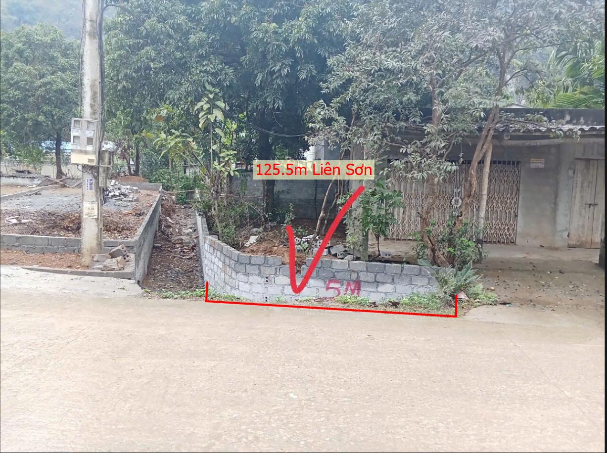 Hình ảnh Bán Lô Đất 125.5m Tại Liên Sơn Lương Sơn Bám Đường Bê Tông Ô Tô Vào Tận Đất Dân Cư Đông Đúc Thân Thiện Giá Đầu Tư