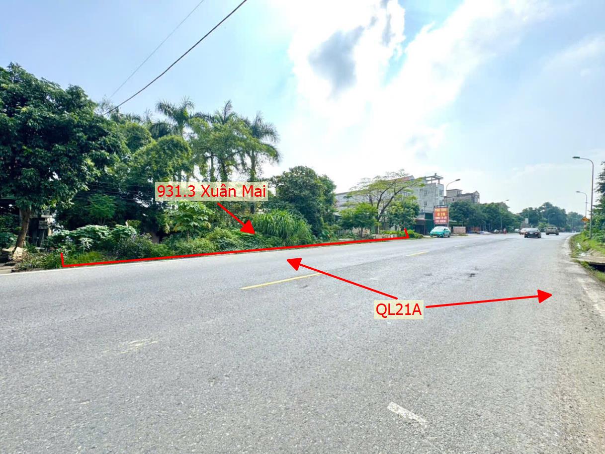 Hình ảnh Bán Thửa Đất 931.3m Tại Xuân Mai Mặt Đường Kinh Doanh QL21A Cách Ngã Tư Trung Tâm Xã Xuân Mai Chỉ 1km