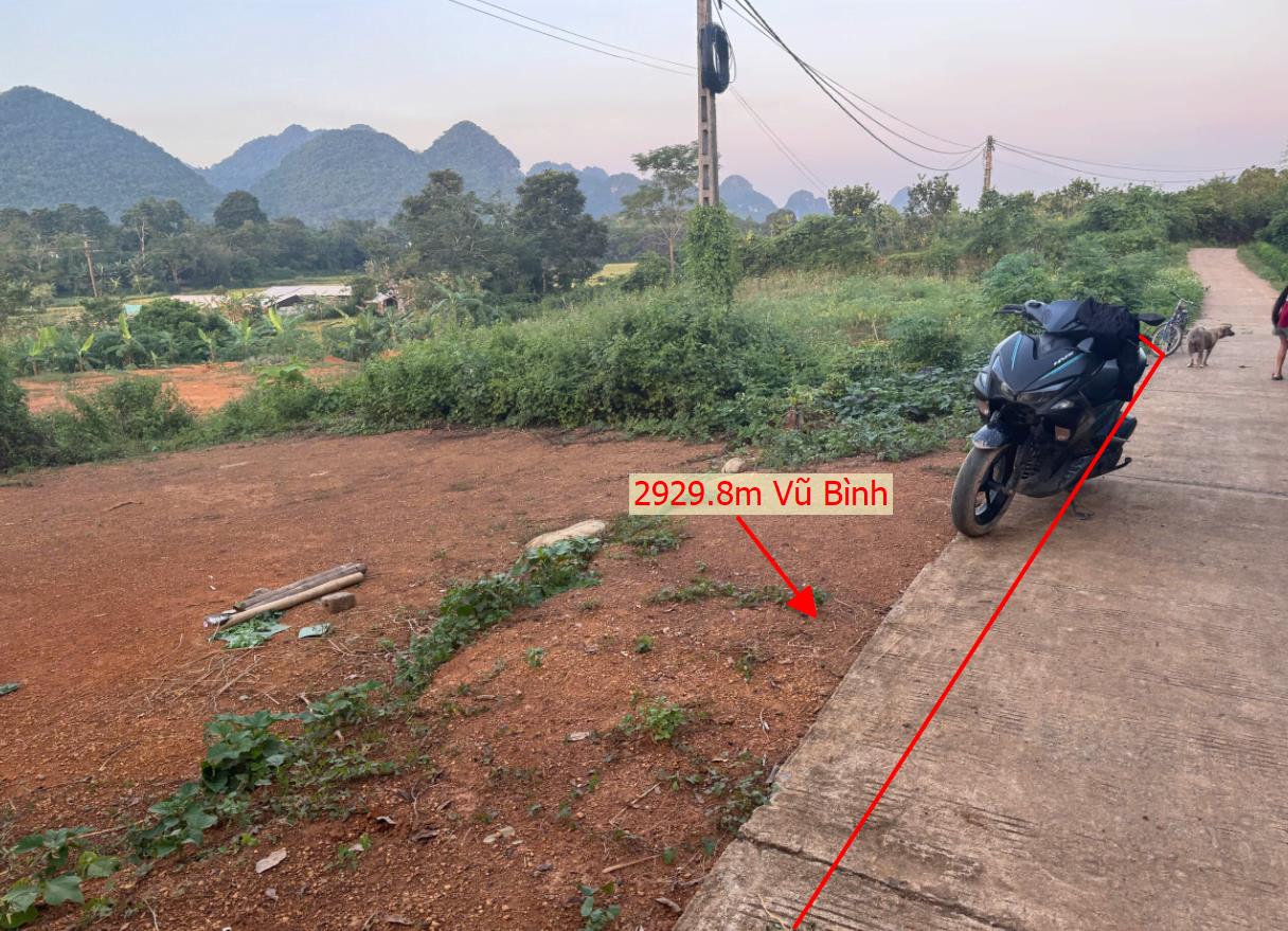 Hình ảnh Bán Lô Đất 2929.8m Tại Vũ Bình Lạc Sơn Bám Đường Bê Tông Ô Tô Vào Tận Đất Dân Cư Đông View Núi Thoáng Mát Phú Hợp Phân Lô Giá Đầu Tư