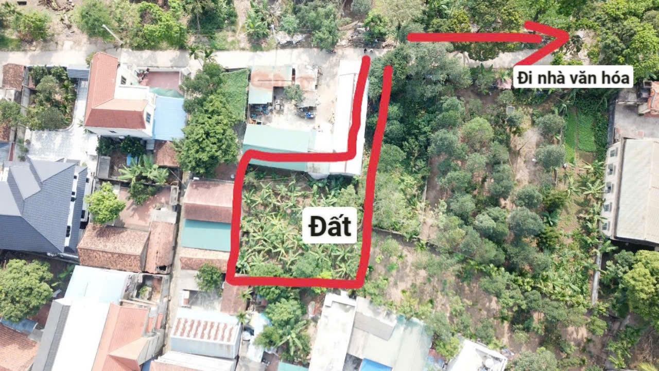 Hình ảnh Bán Thửa Đất 341m Tại Thụy Hương Chương Mỹ Sát Trục Kinh Doanh Liên Huyện Giá Chỉ Vài Tỷ 