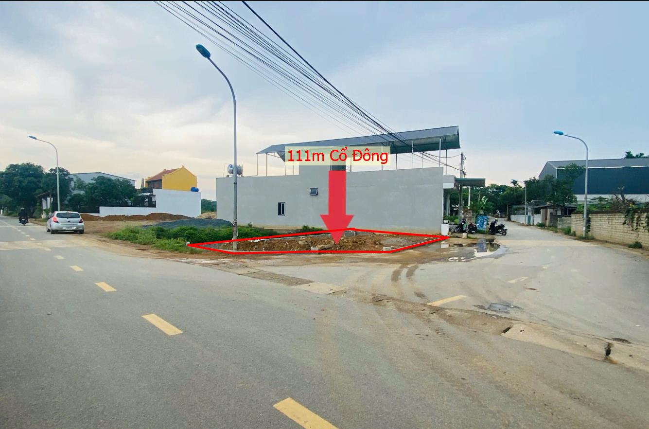 Hình ảnh Bán Lô Đất 111m Tại Cổ Đông Sơn Tây Bám Đường Bê Tông Ô Tô Vào Tận Đất Dân Cư Đông Đúc Thân Thiện Giá Đầu Tư