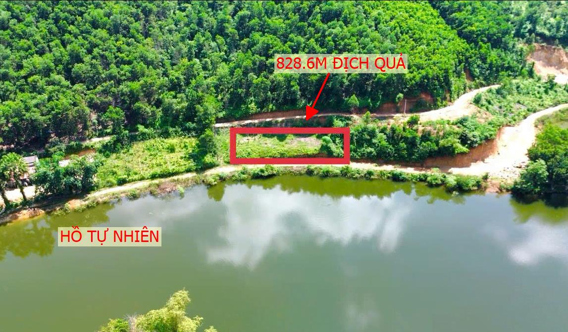 Hình ảnh Bán Lô Đất 828.6m Tại Địch Quả Thanh Sơn Bám Đường Bê Tông Ô Tô Vào Tận Đất View Hồ Thoáng Mát Giá Hơn Tỷ