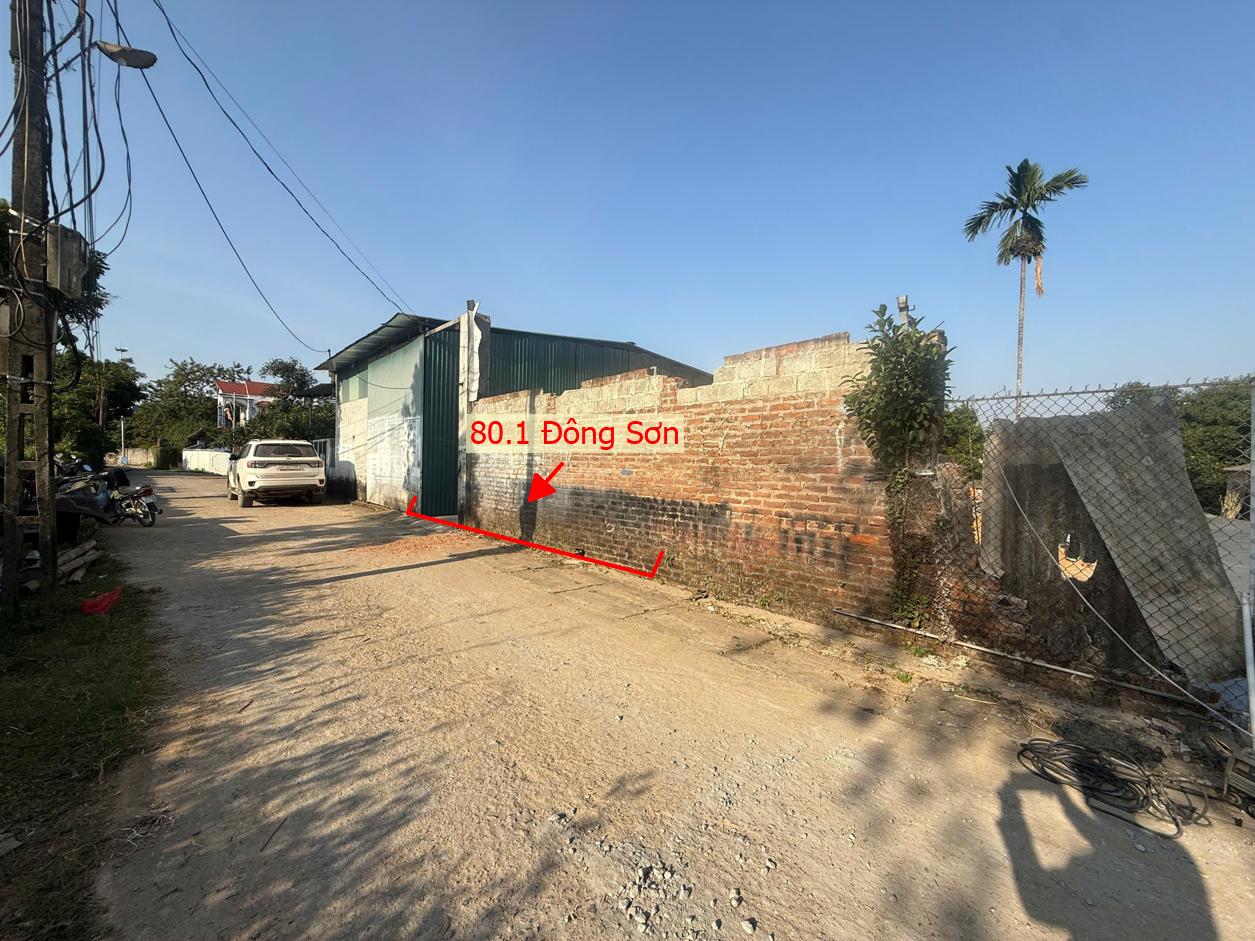 Hình ảnh Đất Phân Lô Quyết Hạ Phú Nghĩa (Đông Sơn Cũ) Ô Tô Đỗ Tận Đất Gần Trục Kinh Doanh Giá Đầu Tư