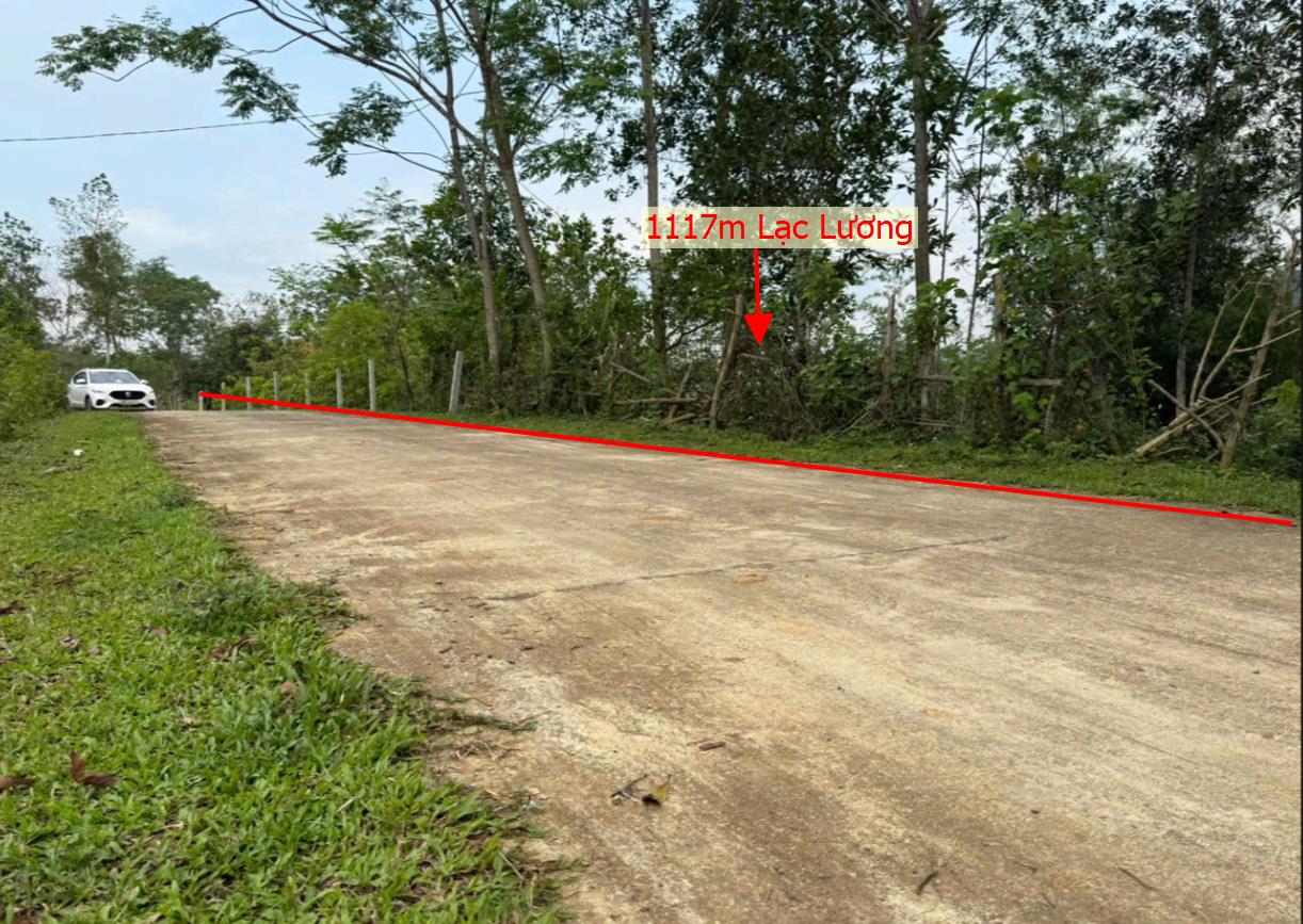 Hình ảnh Bán Lô Đất 1117m Tại Lạc Lương  Bám Đường Bê Tông Cách Ql Chỉ 200m Cách Đường HCM 200m View Thoáng Mát Giá Đầu Tư