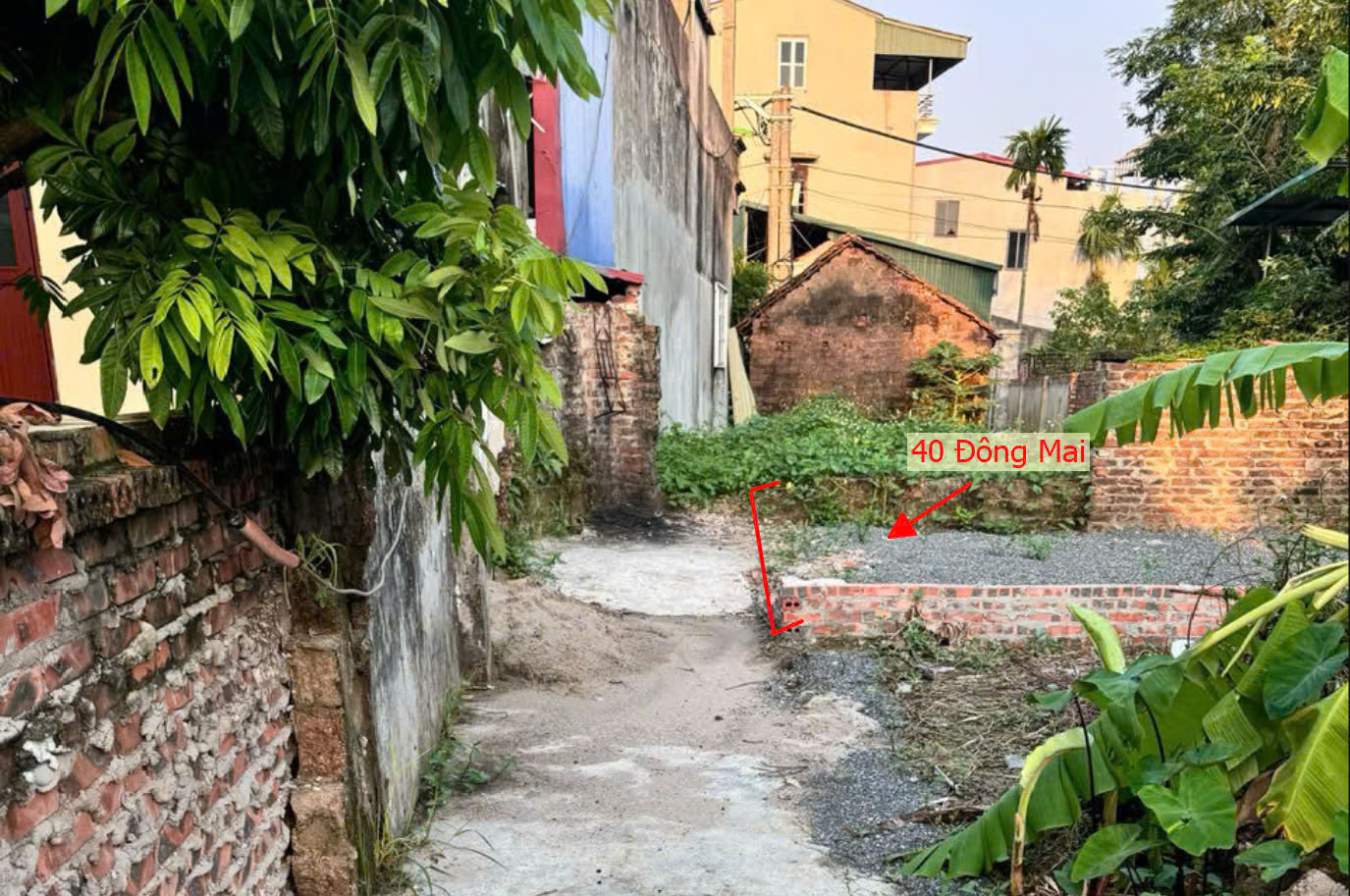 Hình ảnh Bán Đất Đồng Mai Gần Trục Chính Kinh Doanh Liên Huyện Sát Khu Đất Dịch Vụ Sinh Thái Đồng Mai 