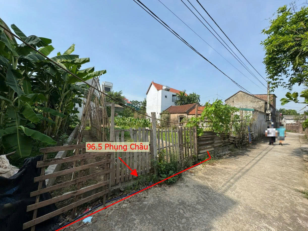 Hình ảnh Bán Thửa Đất 96.5m Tại Phụng Châu Full Thổ Cư Sát Trục Kinh Doanh Liên Huyện Giá Chỉ Vài Tỷ