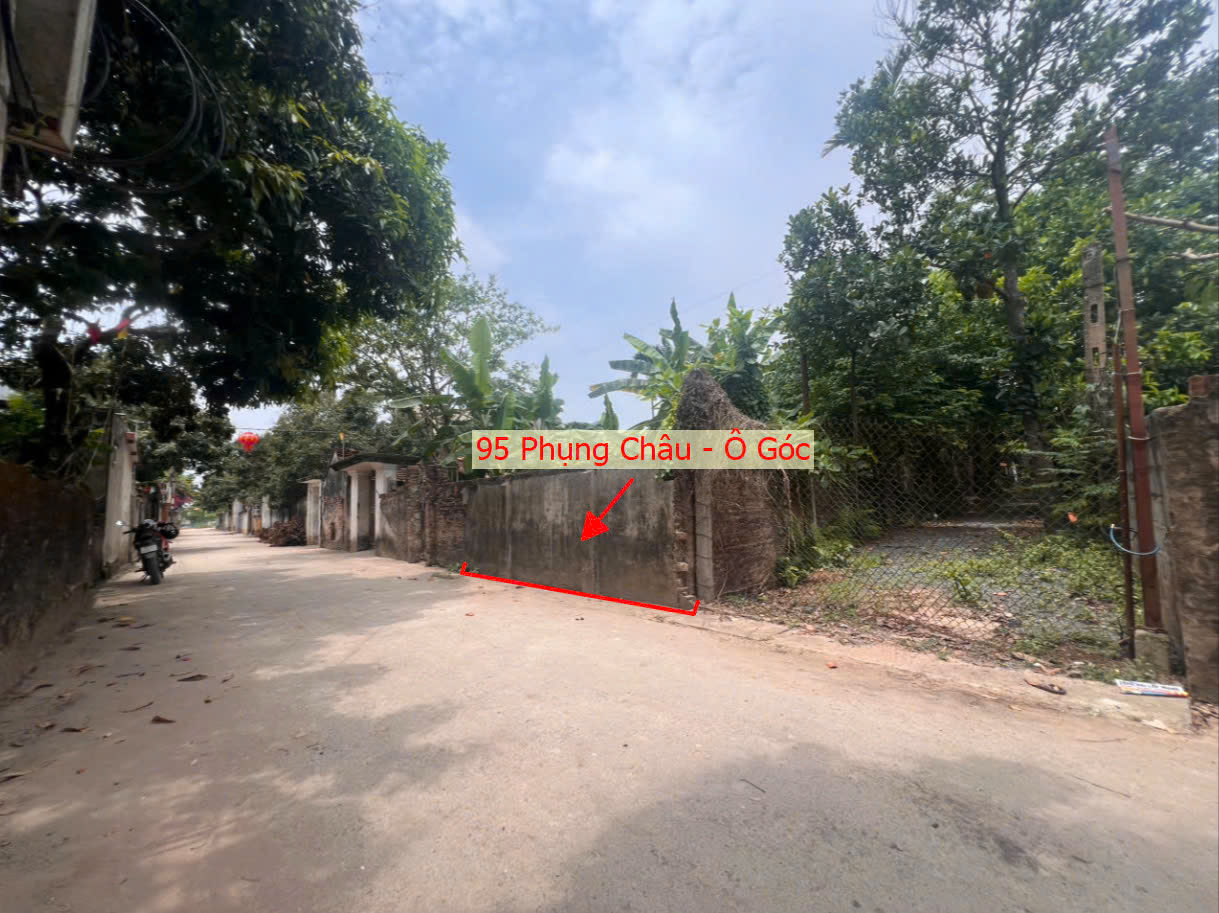 Hình ảnh Bán Lô Góc 2 Mặt Thoáng 95m Tại Phụng Châu Chương Mỹ Ô Tô Đỗ Tận Đất Sát Trục Kinh Doanh Liên Huyện