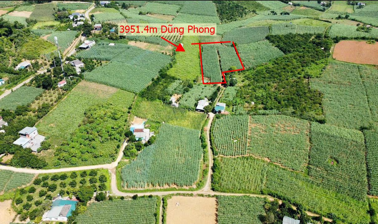 Hình ảnh Bán Lô Đất 3951.4m Tại Dũng Phong Cao Phong Bám ĐƯờng Bê Tông Ô Tô Vào Tận Đất Dân Cư Đông Phù Hợp Làm Nghỉ Dưỡng