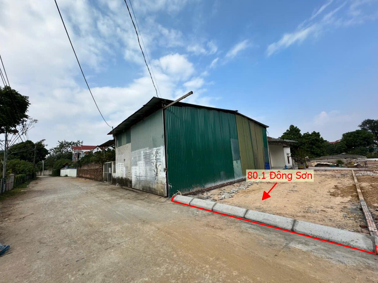 Hình ảnh Đất Phân Lô Quyết Hạ Phú Nghĩa (Đông Sơn Cũ) Ô Tô Đỗ Tận Đất Gần Trục Kinh Doanh Giá Đầu Tư