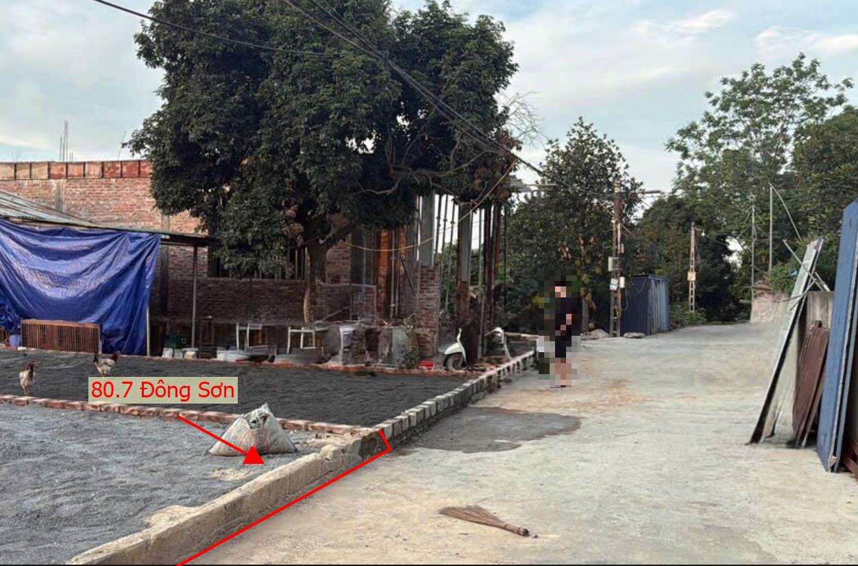 Hình ảnh Bất Động Sản Phú Nghĩa Bán Đất Phân Lô Đông Sơn Ô Tô Đỗ Tận Đất Sát Trục Kinh Doanh Gần QL6A Đang Triển Khai Mở Rộng